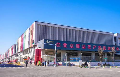 山東蘭陵蔬菜將規(guī)?；M(jìn)京