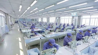 北京服裝產(chǎn)業(yè)大轉(zhuǎn)移 1200多家服裝廠涌入滄州瘋狂 搶地